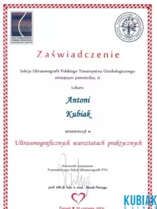 certyfikat-31